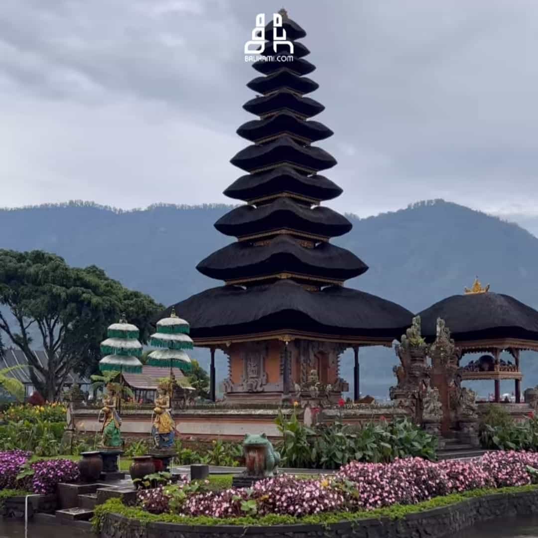 WhatsApp Image 2025-02-26 at 12.15.53_bbab6de6